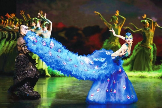 ''Khổng tước - The Peacock Hanoi 2026'': Kết nối tinh hoa vũ kịch Á Đông với tâm hồn Việt